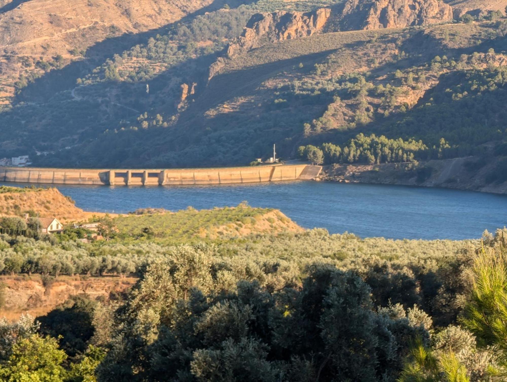 El Paraiso Del Azahar Chite